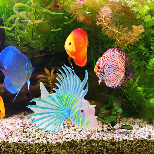 Acquario decorazioni - acquario,