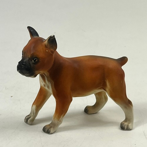 Statua cane boxer vintage