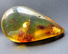 Ambra 6 gr con 2 FORMICHE