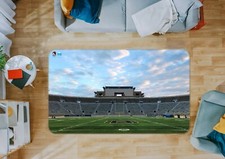 3D Stadium Lawn NAO9747 Game