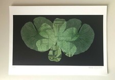 Artista Italiana Carla