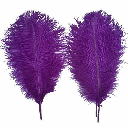 Sowder piume struzzo di - -,