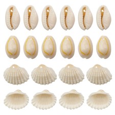 Pezzi ciondolo conchiglia - pezzi,