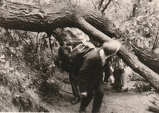 B4 - Foto Photo Fotografia  Anni 60 - Ragazzini Dopo Scuola Parco Giochi
