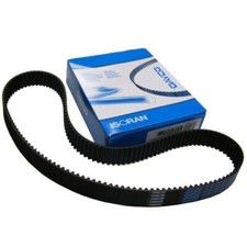 CINGHIA DISTRIBUZIONE