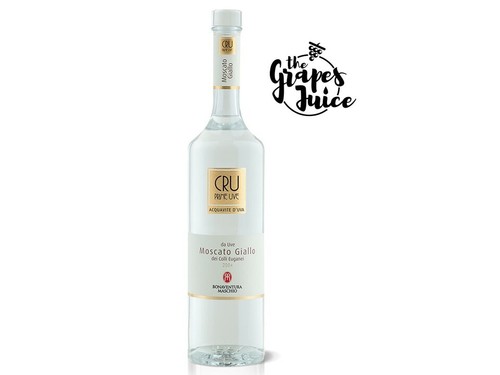 Bonaventura maschio cru prime - bonaventura,