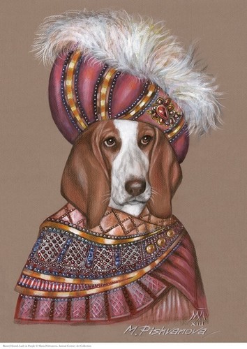 Basset hound lady - hound,
