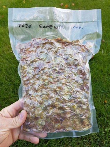 Grow 2025 harvest - grow,