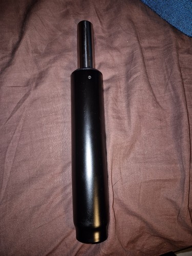 Verin stabilus hag capisco - stabilus,