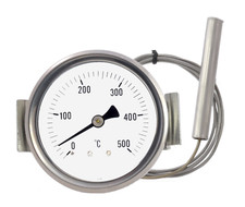 Forno a legna grill pizza