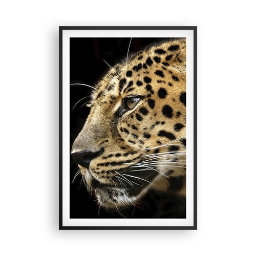 Poster 61x91cm animali - 61x91cm,