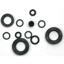 Serie paraolio motore per moto