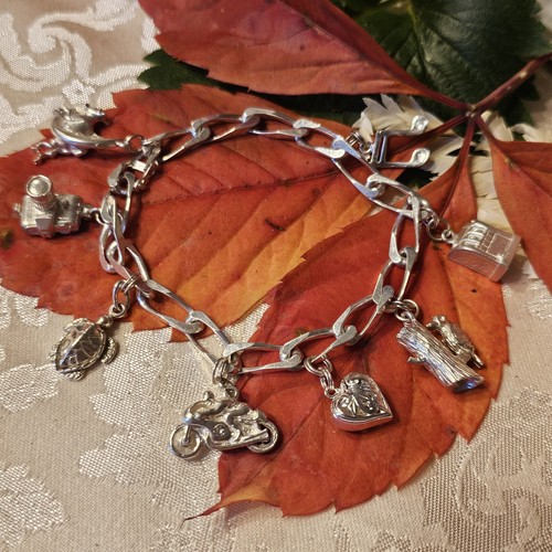 Bracelet breloques argent - 8,