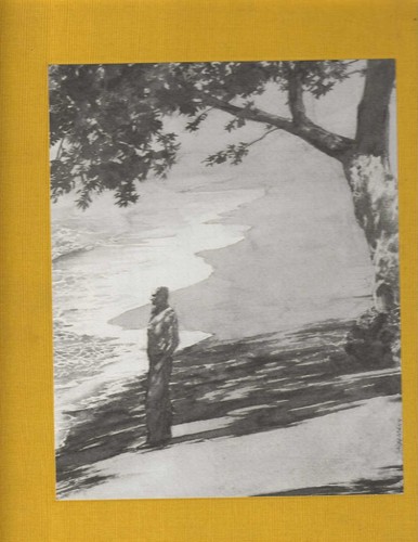 Grande gatsby - il,
