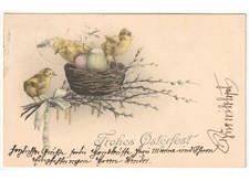 1914  rami di salice nido