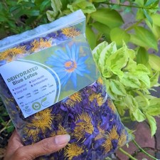 Fiore di erbe di Ceylon puro