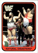 card wwf wrestling merlin 1991