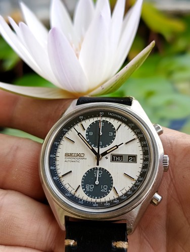 Seiko panda cronografo - seiko,