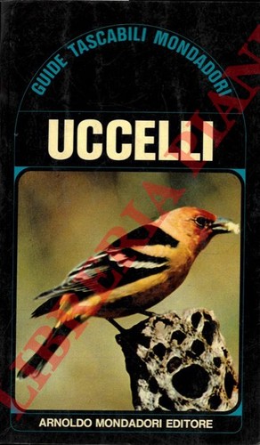 Ornitologia short uccelli - ornitologia,