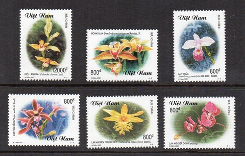 Vietnam fiori di - vietnam,