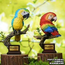 Animal bangbang What Bird