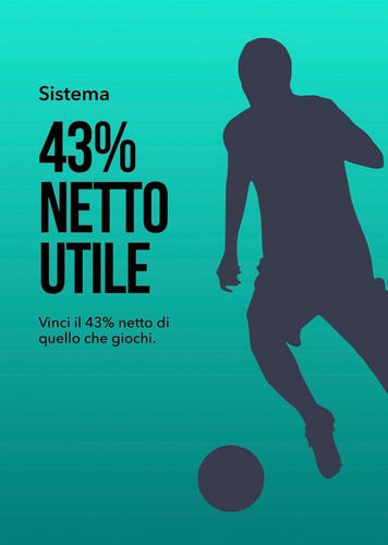 Sistema netto utile - 43%,