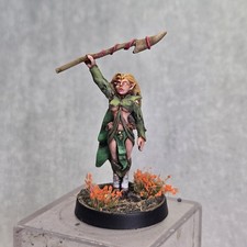 Gioco di ruolo dipinto D&D