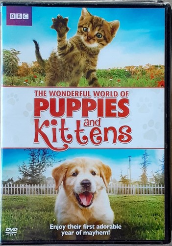 The wonderful world puppies - the,