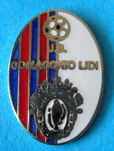 Distintivo spilla pin badge - distintivo,