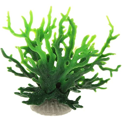 Decorazione barriera corallina