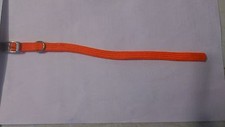 Collare Cane 10 MM 25 CM