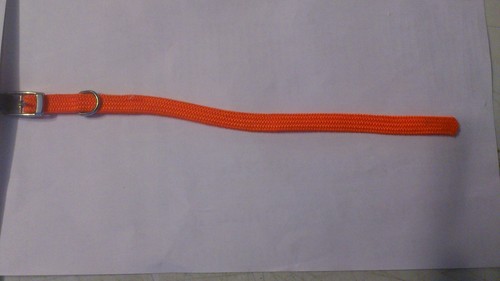 Collare cane 25 cm - 10, mm