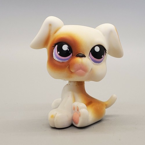 Hasbro littlest pet shop - littlest,