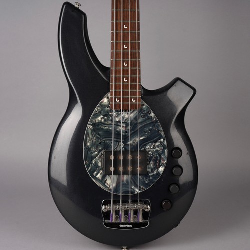 Ernie ball music man - music,