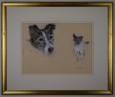 Jack Russell Terrier. Pastello