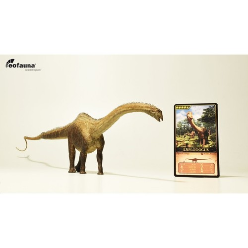 Eofauna diplodocus carnegii - diplodocus,