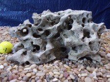 21# Texas/TN Holey Rock