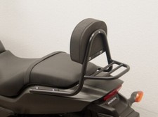 Missing 6141 Sissy Bar con