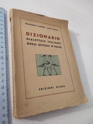 Caterini ugolini dizionario - caterini,,