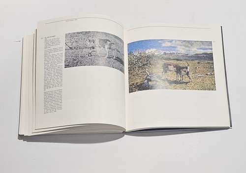 Segantini libro electa - segantini,