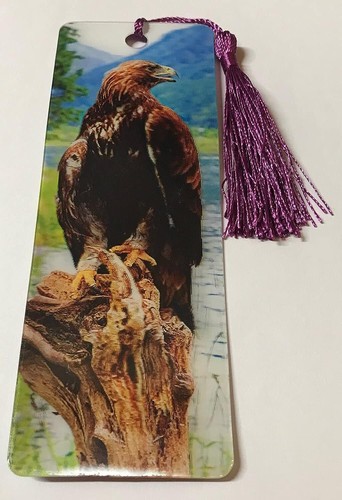Scottish golden eagle - scottish,