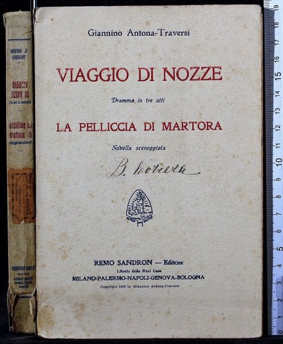 Viaggio nozze la pelliccia - viaggio, nozze.