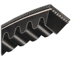 Optibelt cintura ingranata - a,