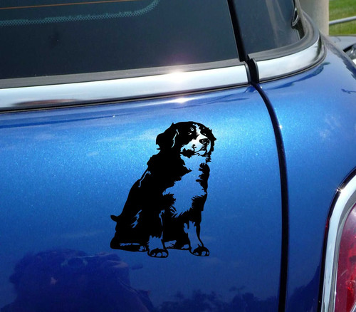 Berner bernese mountain dog - bernese,