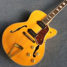 Factory Hollow Chitarra