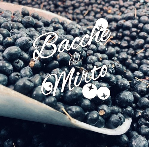 Preordine bacche di - ], mirto