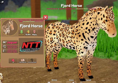 Wild horse islands jaguar - wild,