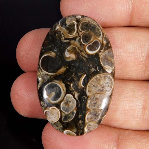 Naturale splendida - ct,