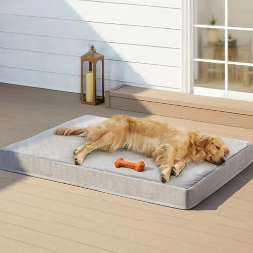 Rrpethome cuccia per - per, cani