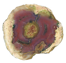 Atollo-agata/agata di Heiterer